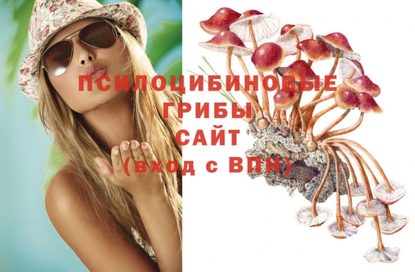 дмт Медногорск