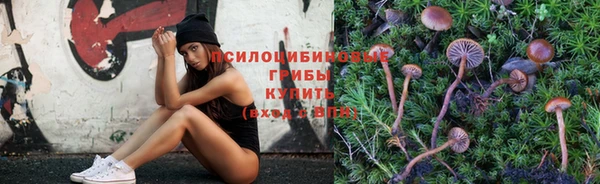 дмт Медногорск