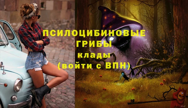 меф Майский