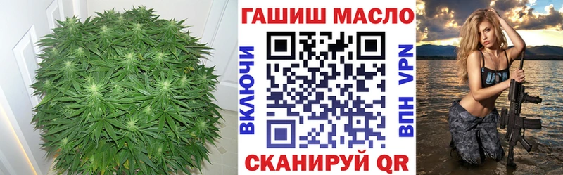 shop телеграм  купить наркотики цена  KRAKEN   Островной  Дистиллят ТГК гашишное масло 
