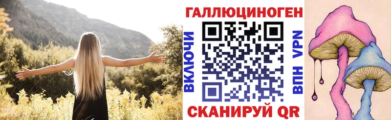 купить наркотик Островной Галлюциногенные грибы Psilocybe