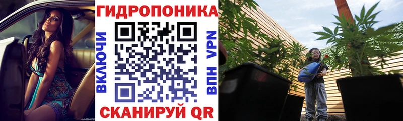 Бошки Шишки ГИДРОПОН сколько стоит Островной